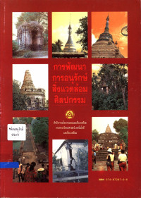 การพัฒนาการอนุรักษ์สิ่งแวดล้อมศิลปกรรม