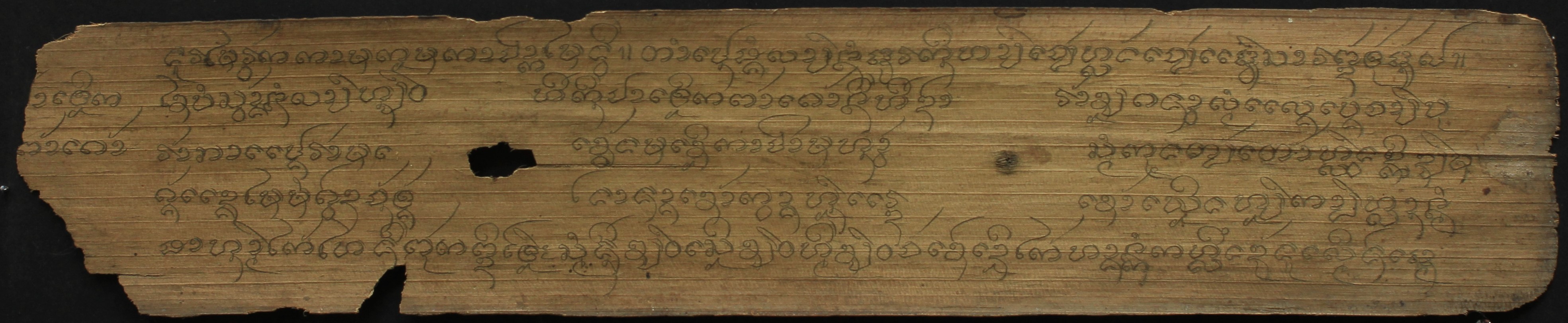 ตำรายา