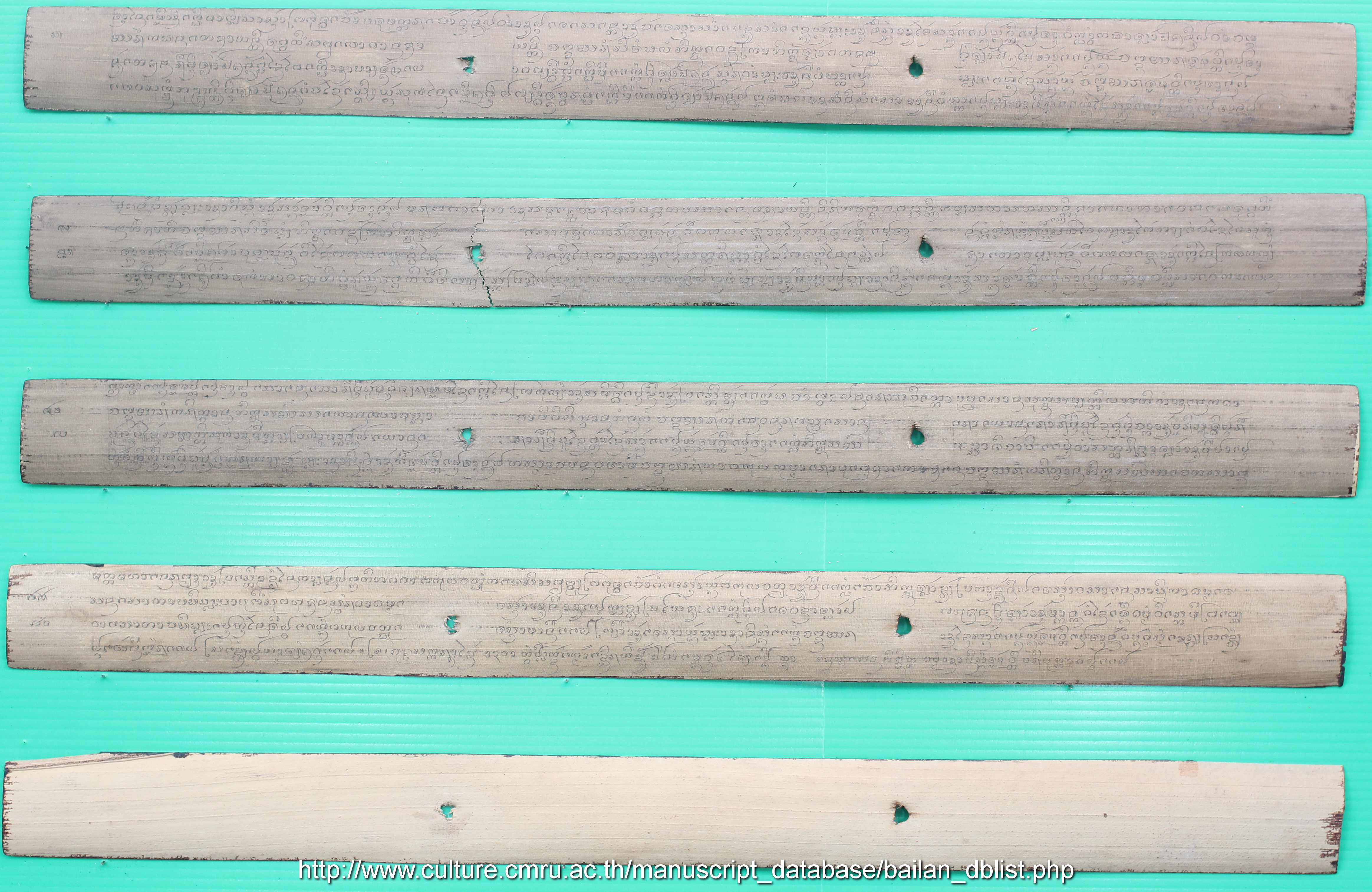 อานิสงส์ท้อมวิจ