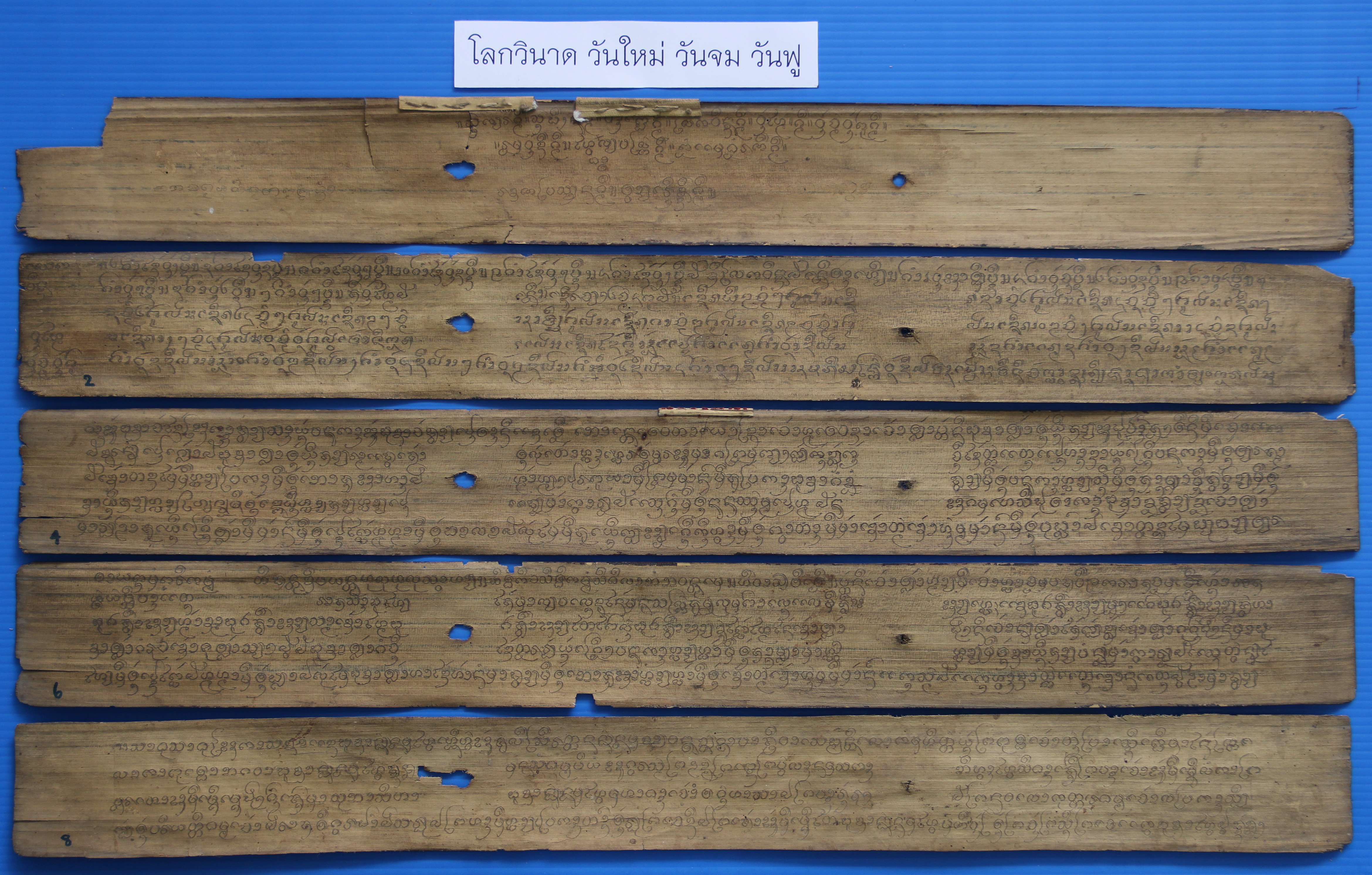 โหราศาสตร์