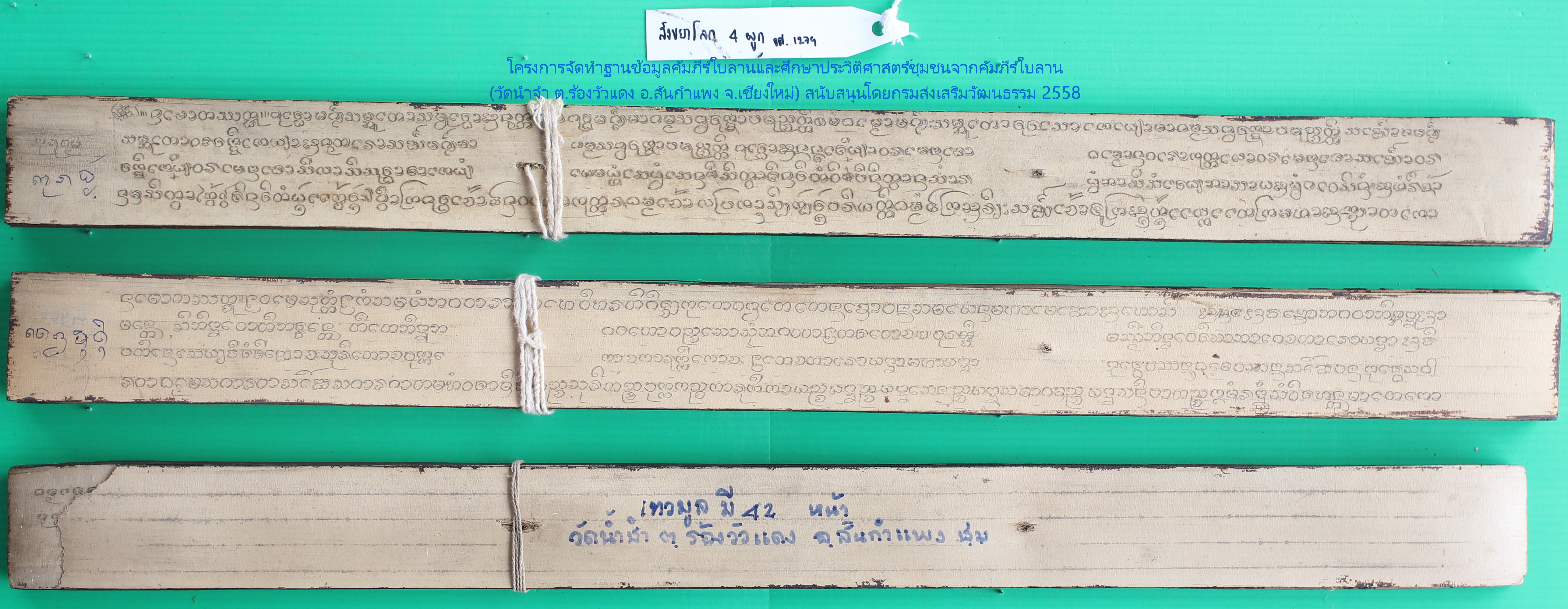 สังขยาโลก