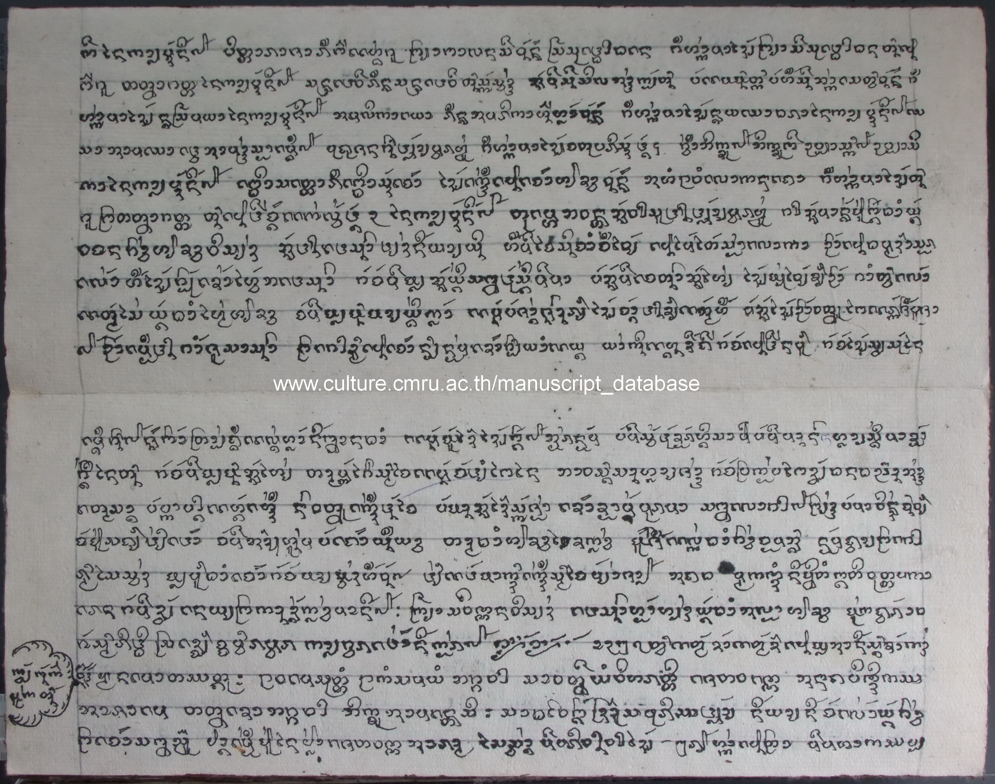 กล้วยพันกอ