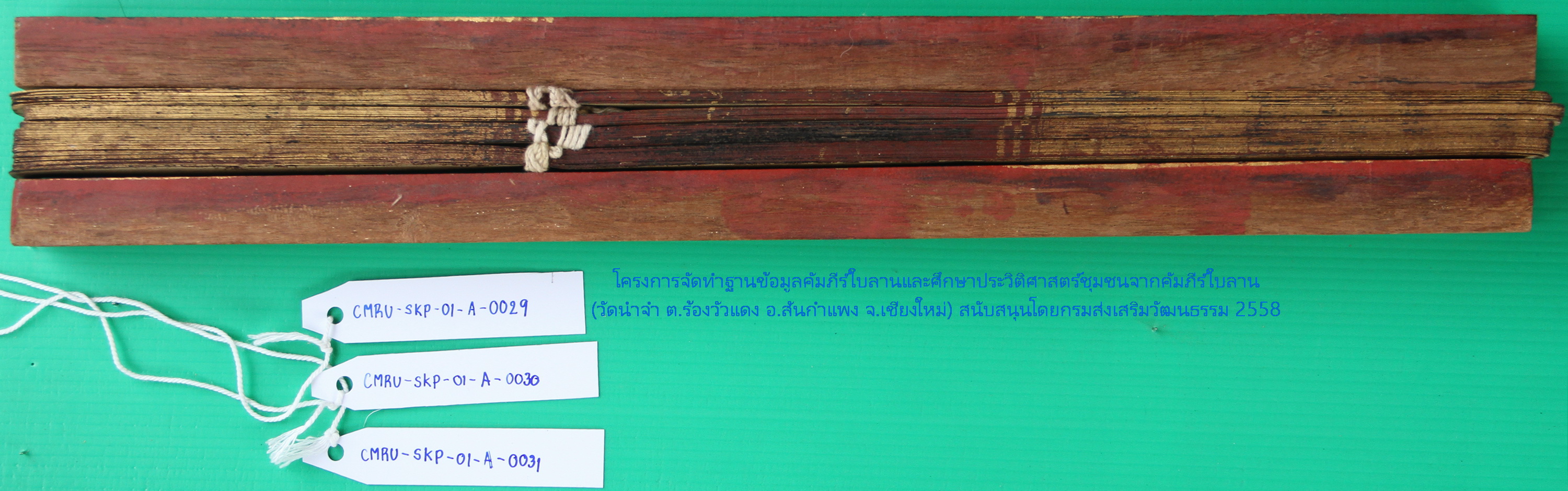 สะเพลาหลงท่า