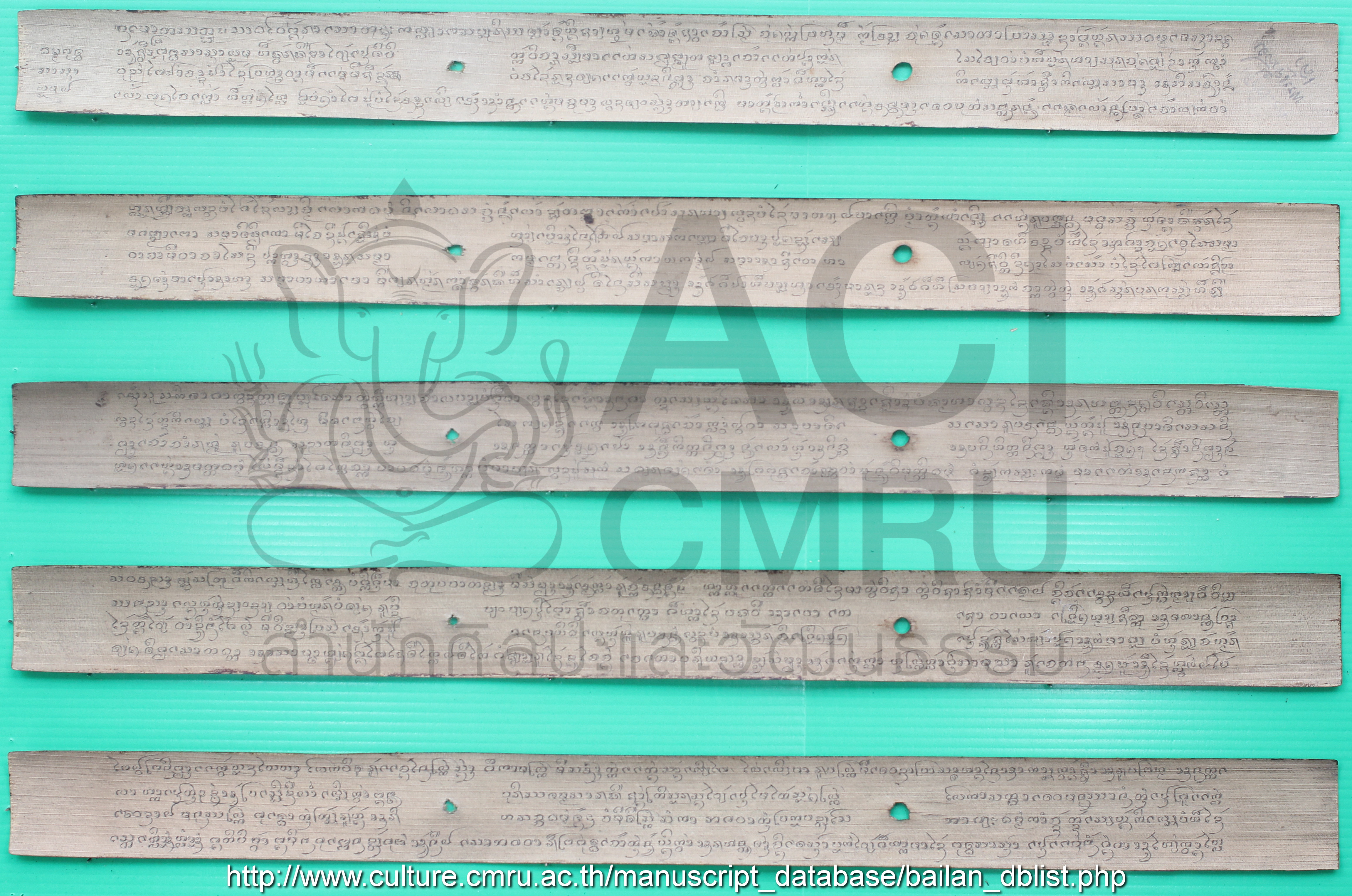 พุทธสาสนารอม