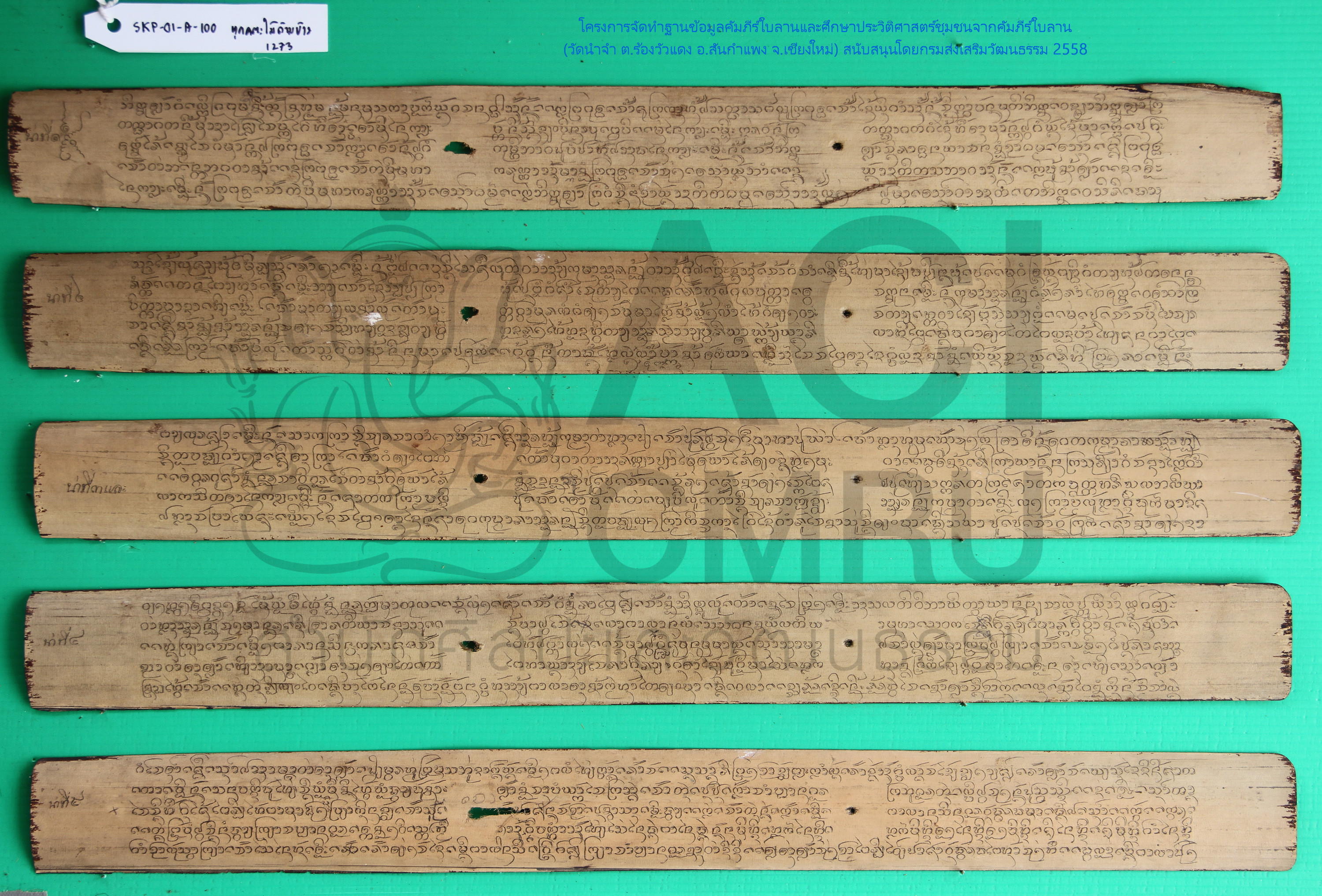 ทุกคตะไม้ด้ามข้าว