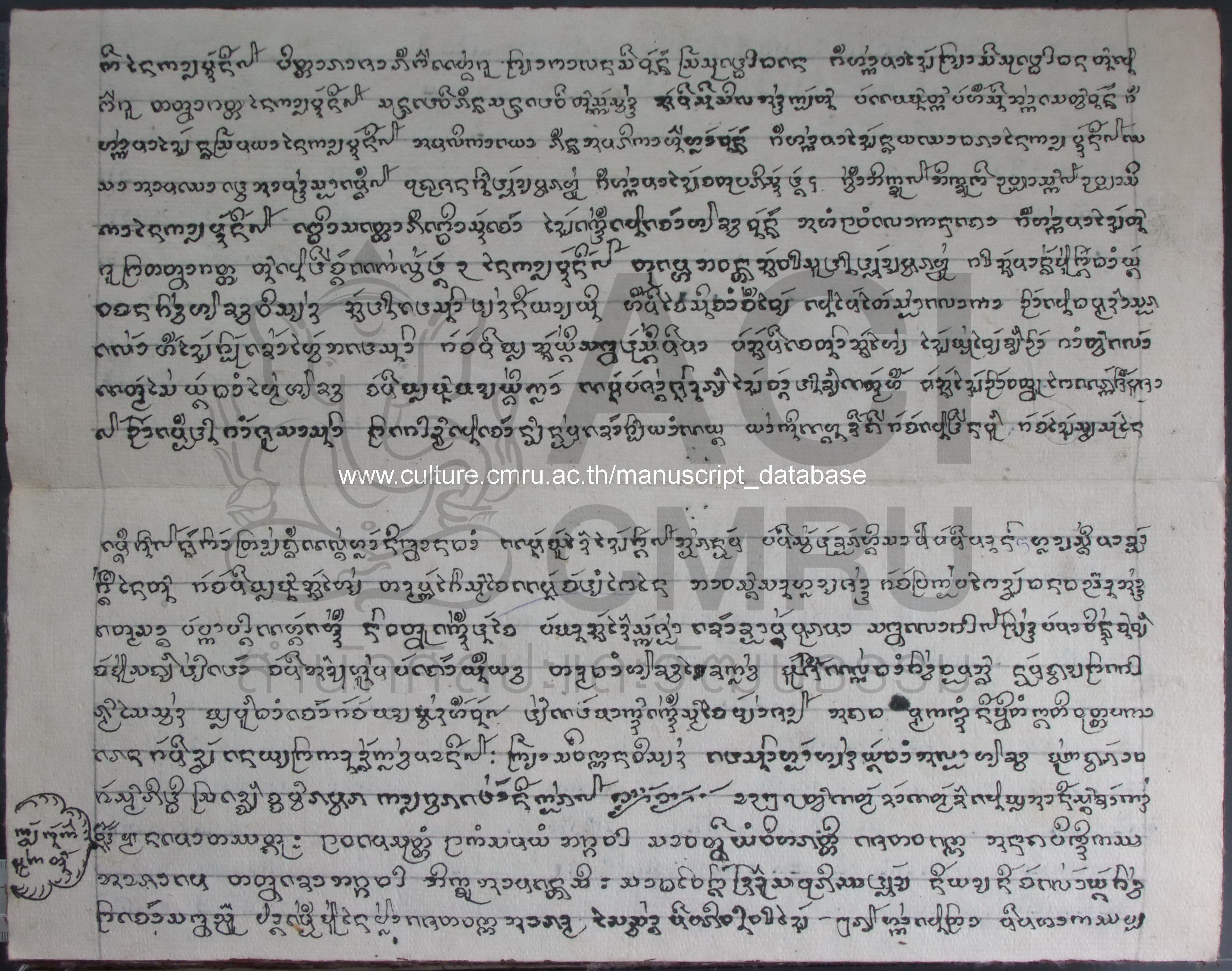 กล้วยพันกอ