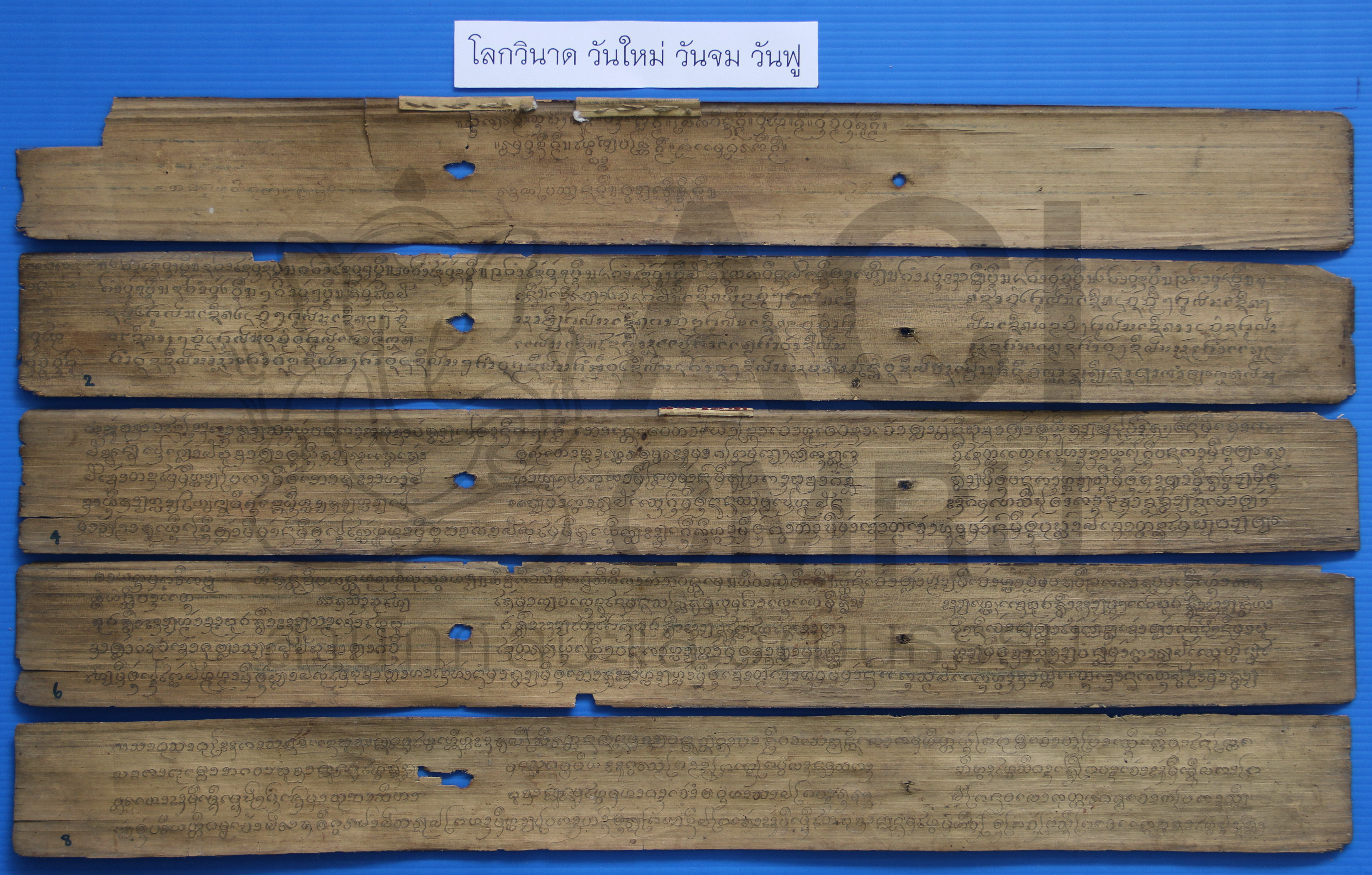 โหราศาสตร์