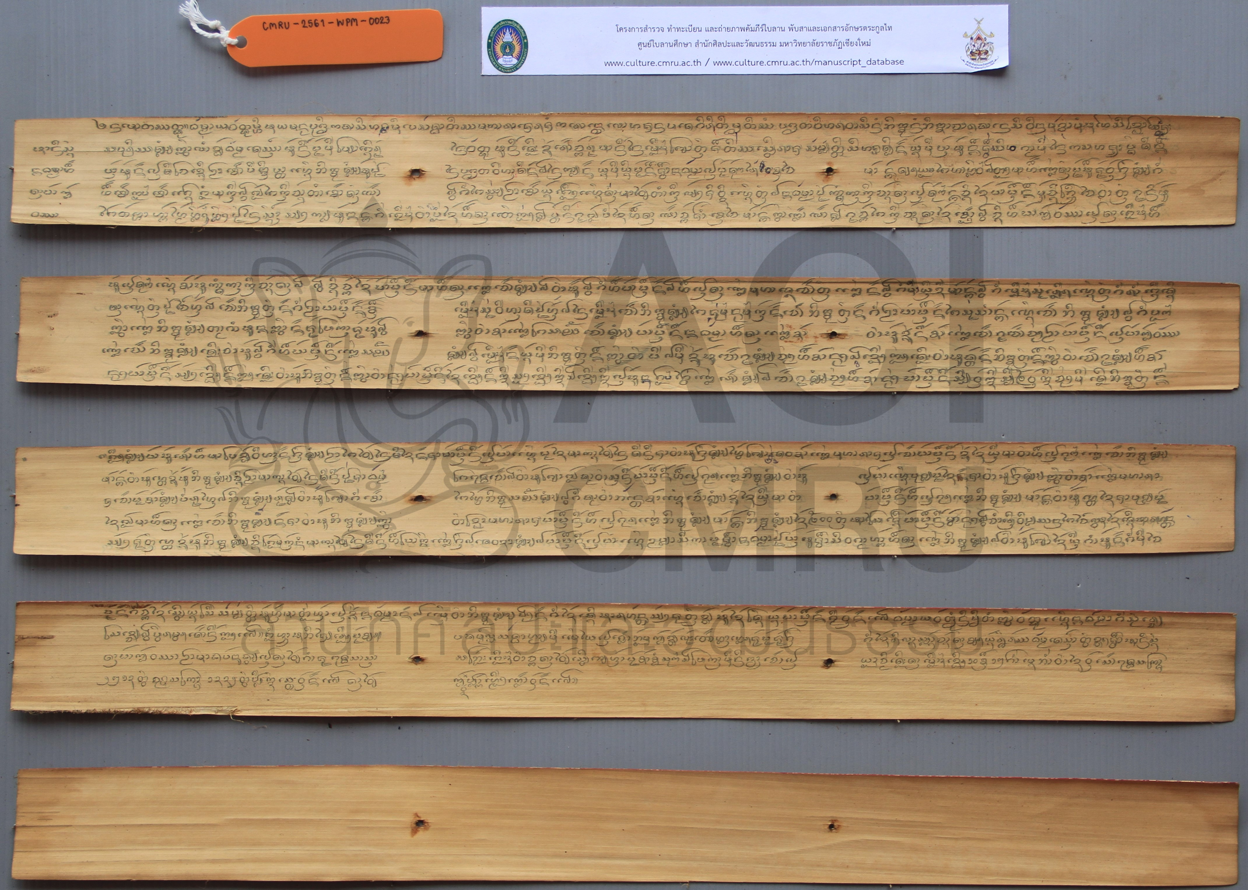 อานิสงส์ทานผ้ากับวัสสา