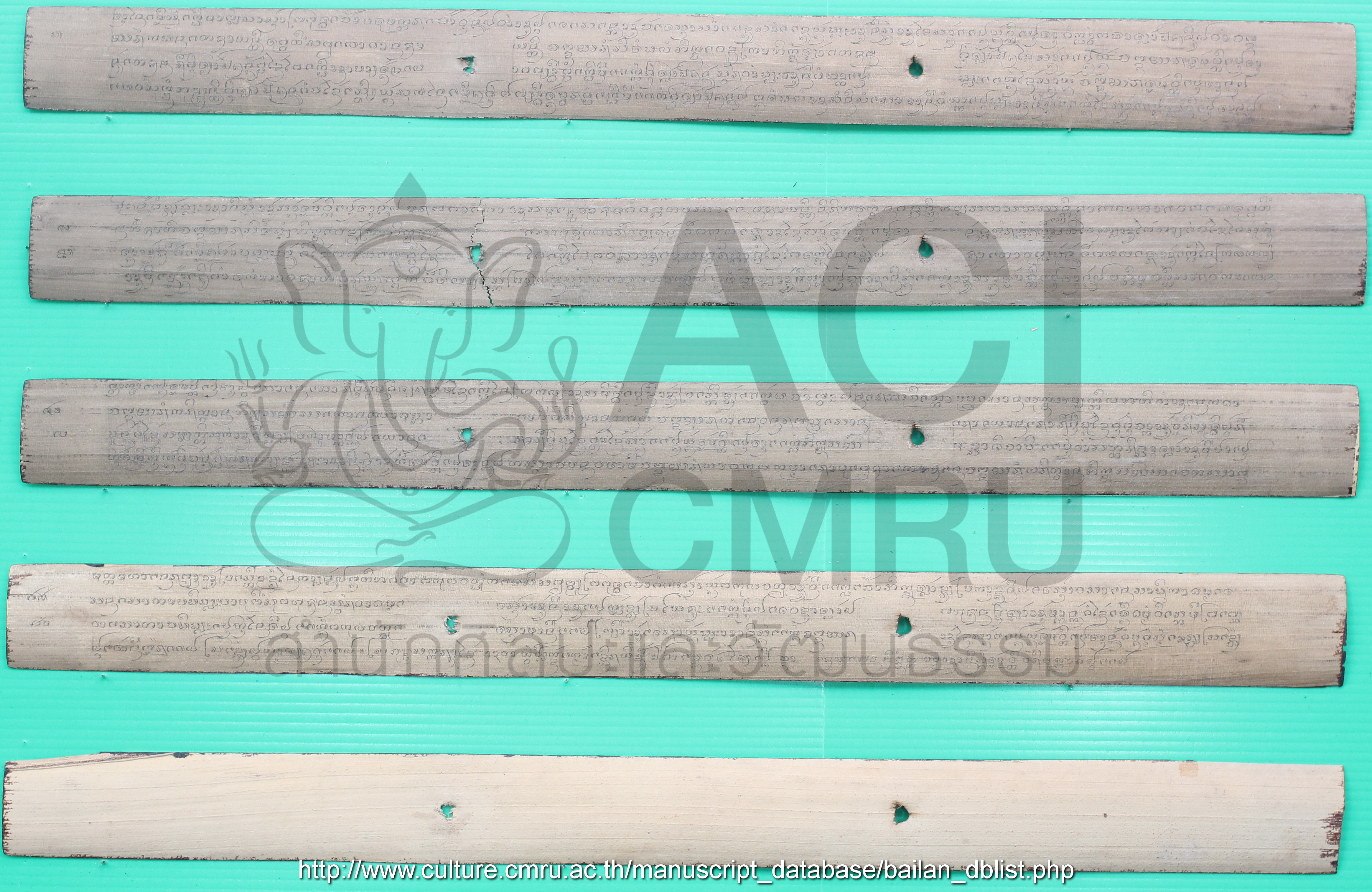 อานิสงส์ท้อมวิจ