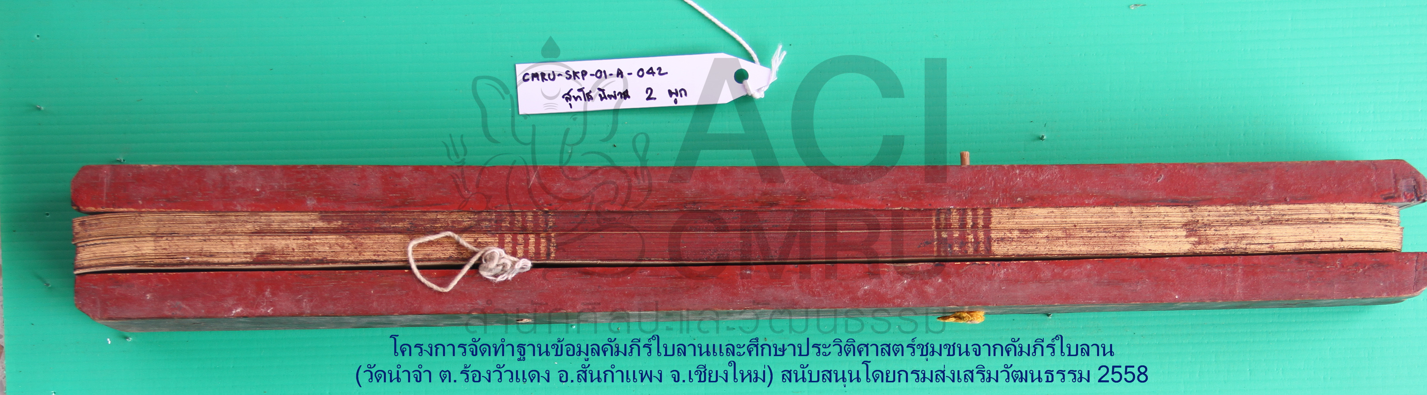 สุทโธทนนิพพาน