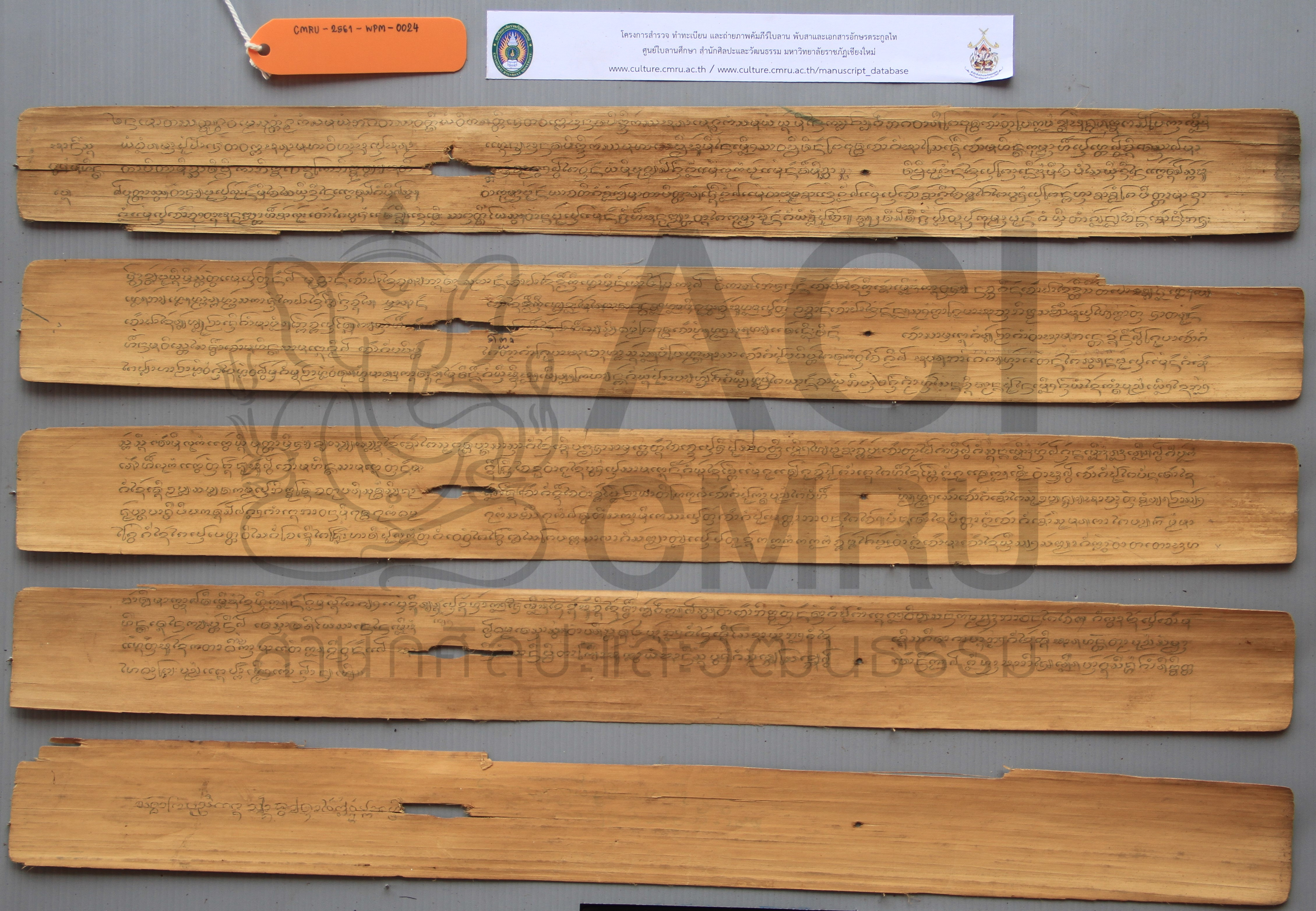 อานิสงส์บวช