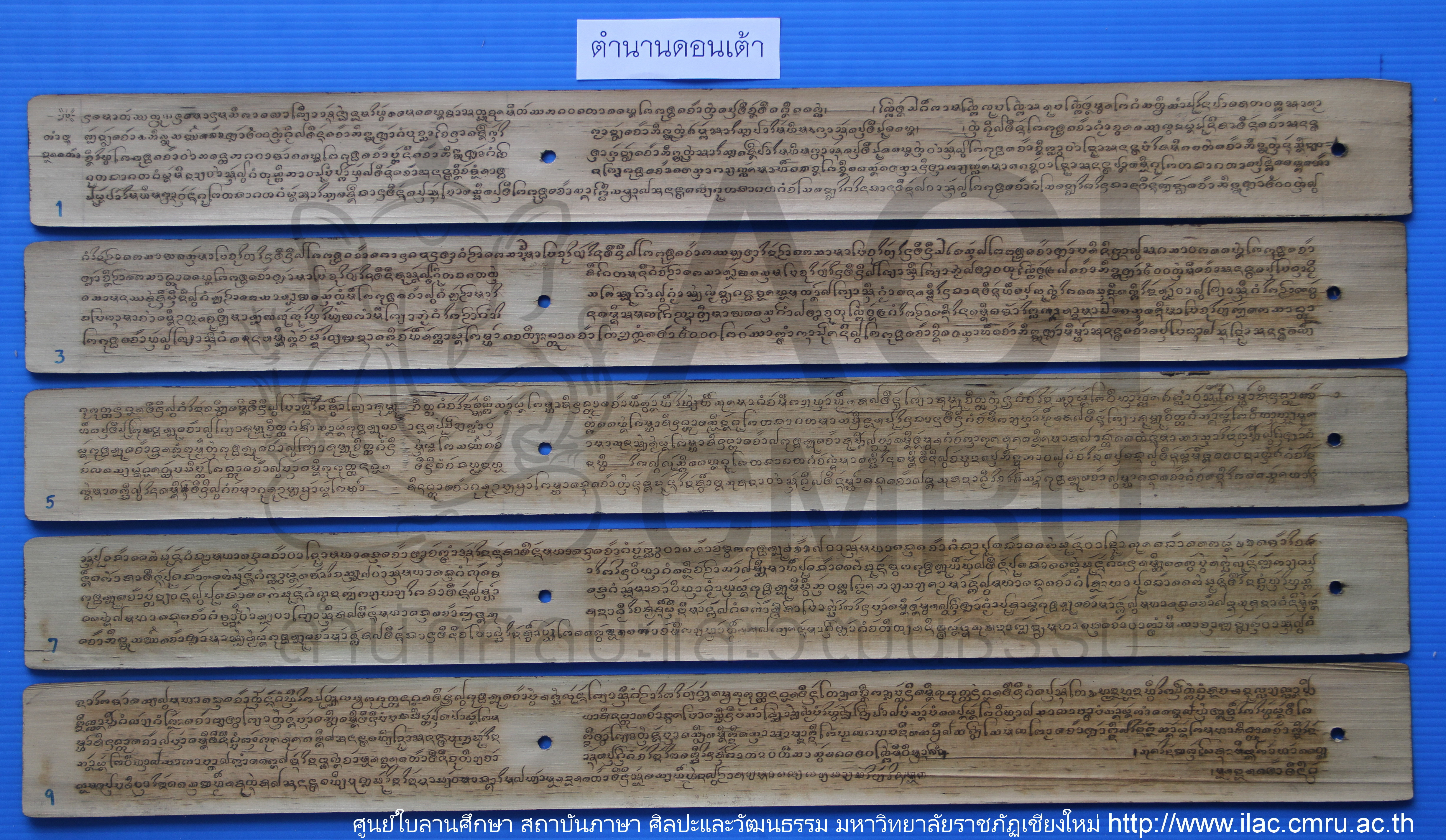 ตำนานดอนเต้า