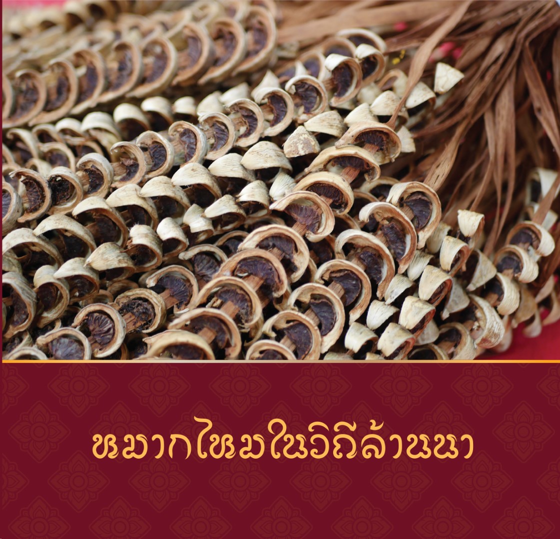 หมากไหมในวิถีล้านนา